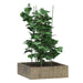 Suport plante de grădină cu 3 inele, 5 buc, verde, 45 cm, oțel - WALTI WALTI