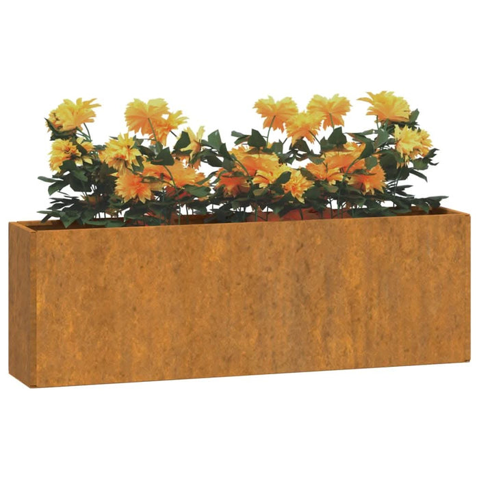Jardiniere de perete, 2 buc., ruginiu, 53x10x17 cm, oțel corten - WALTI WALTI