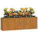Jardiniere de perete, 2 buc., ruginiu, 53x10x17 cm, oțel corten - WALTI WALTI