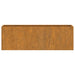 Jardiniere de perete, 2 buc., ruginiu, 53x10x17 cm, oțel corten - WALTI WALTI