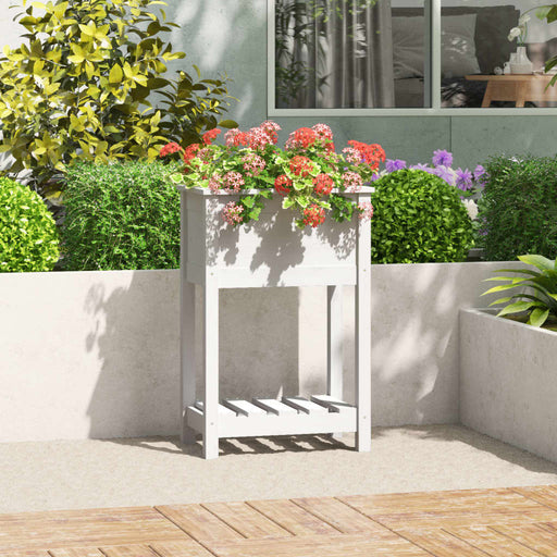 Jardinieră cu raft, alb, 54x34,5x81 cm, lemn masiv de pin - WALTI WALTI
