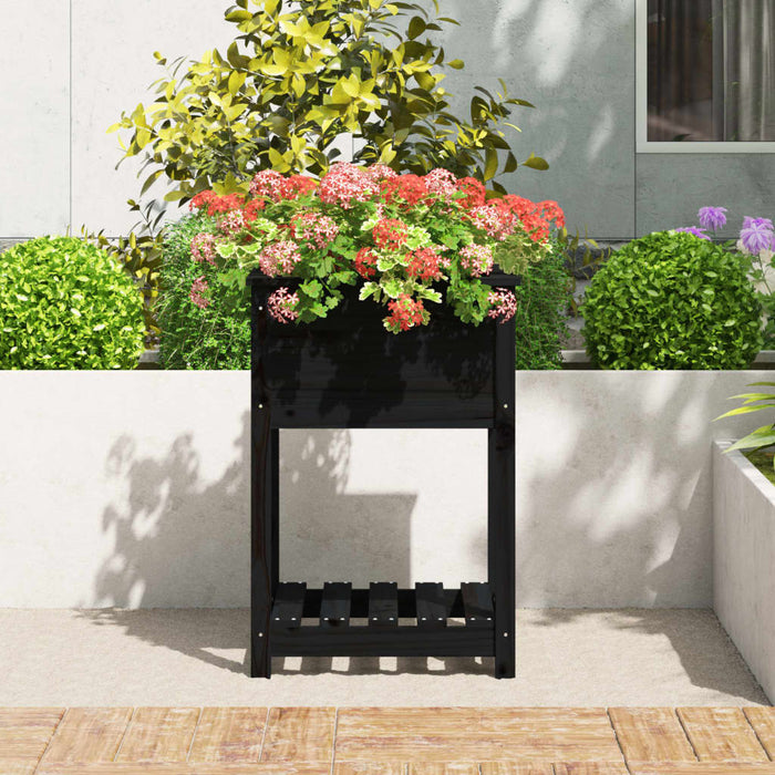Jardinieră cu raft, negru, 54x54x81 cm, lemn masiv de pin - WALTI WALTI