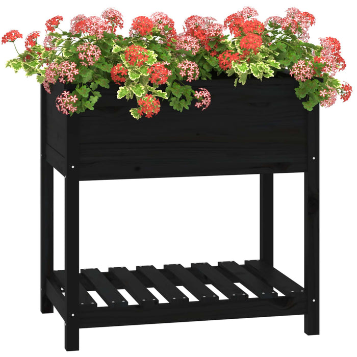 Jardinieră cu raft, negru, 82,5x54x81 cm, lemn masiv de pin - WALTI WALTI