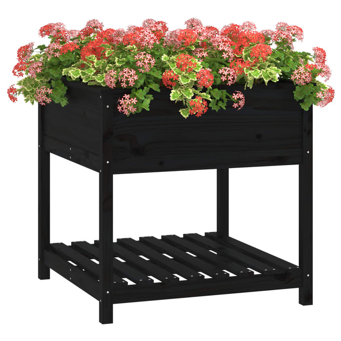 Jardinieră cu raft, negru, 82,5x82,5x81 cm, lemn masiv de pin - WALTI WALTI