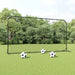 Plasă de ricoșeu fotbal, negru, 366x90x183 cm, HDPE - WALTI WALTI