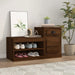 Pantofar, stejar maro, 100x42x60 cm, lemn prelucrat - WALTI WALTI