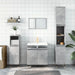 Dulap de baie, gri beton, 58x33x60 cm, lemn prelucrat - WALTI WALTI