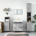 Dulap de baie, gri beton, 65x33x60 cm, lemn prelucrat - WALTI WALTI