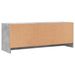 Comodă TV, gri beton, 102x30x37,5 cm, lemn prelucrat - WALTI WALTI