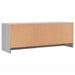 Dulap TV, gri sonoma, 102x30x37,5 cm, lemn prelucrat - WALTI WALTI