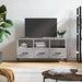 Dulap TV, gri sonoma, 102x36x50 cm, lemn prelucrat - WALTI WALTI