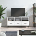 Dulap TV, alb, 102x36x50 cm, lemn prelucrat - WALTI WALTI