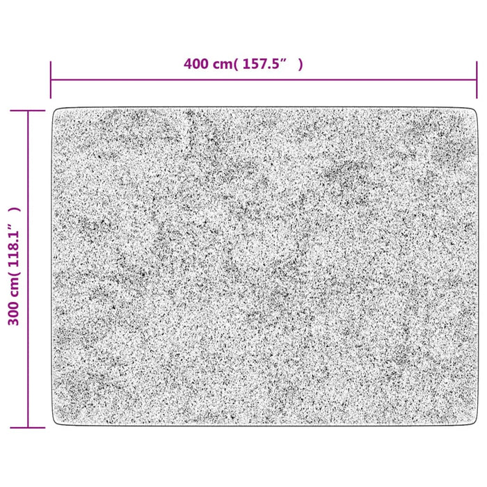 Covor lavabil, antracit, 400x300 cm, anti-alunecare - WALTI WALTI