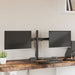 Suport de perete pentru monitor dublu VESA 75/100 mm negru oțel - WALTI WALTI