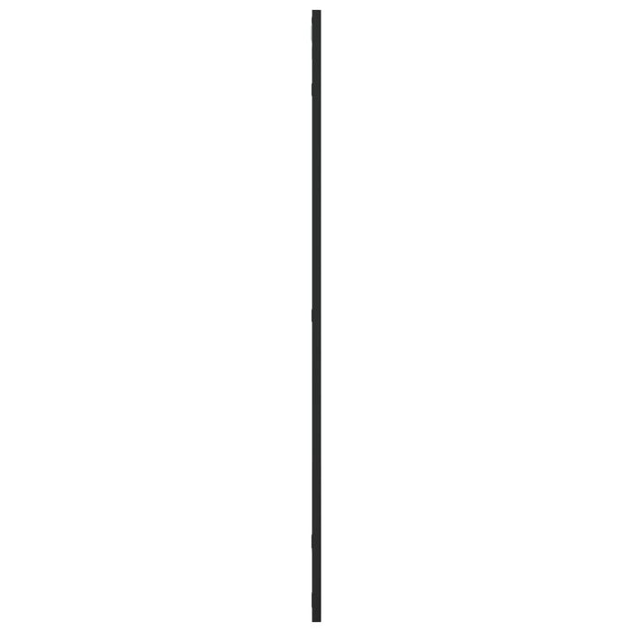 Oglindă de perete, negru, 50x100 cm, dreptunghiulară, fier - WALTI WALTI