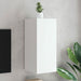 Comodă TV de perete cu lumini LED, alb, 30,5x35x70 cm - WALTI WALTI
