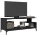 Comodă TV negru 102x40x41 cm lemn și oțel vopsit electrostatic - WALTI WALTI